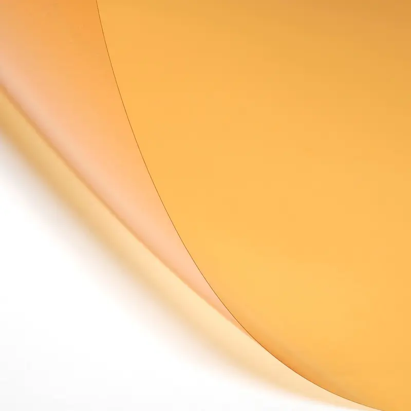 LEE Filters 205 Half Color Temperature Orange Lighting Filter Roll, 48" x 25'