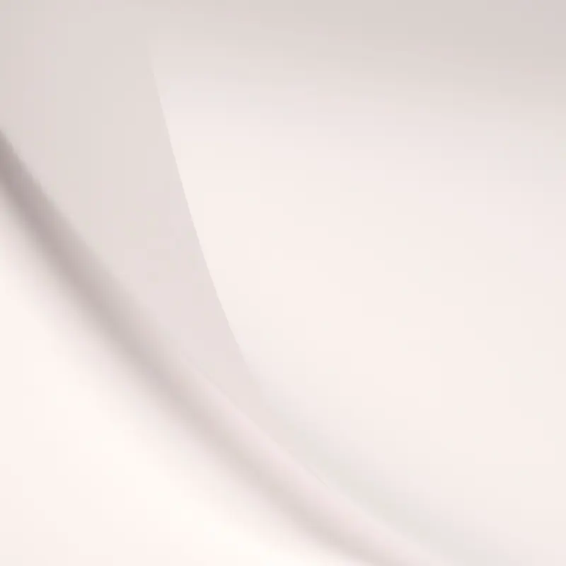 LEE Filters 251 Quarter White Diffusion Lighting Gel Filter Roll, 48" x 25'