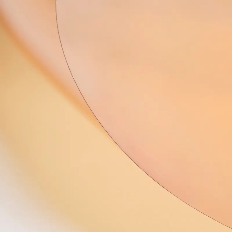 LEE Filters 009 Pale Amber Gold Lighting Gel Filter Sheet, 21"x 24"