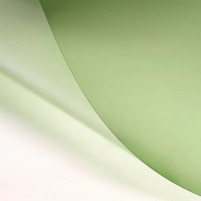 LEE Filters 246 Quarter Plus Green Lighting Filter Roll, 48" x 1' (Sold by the foot)