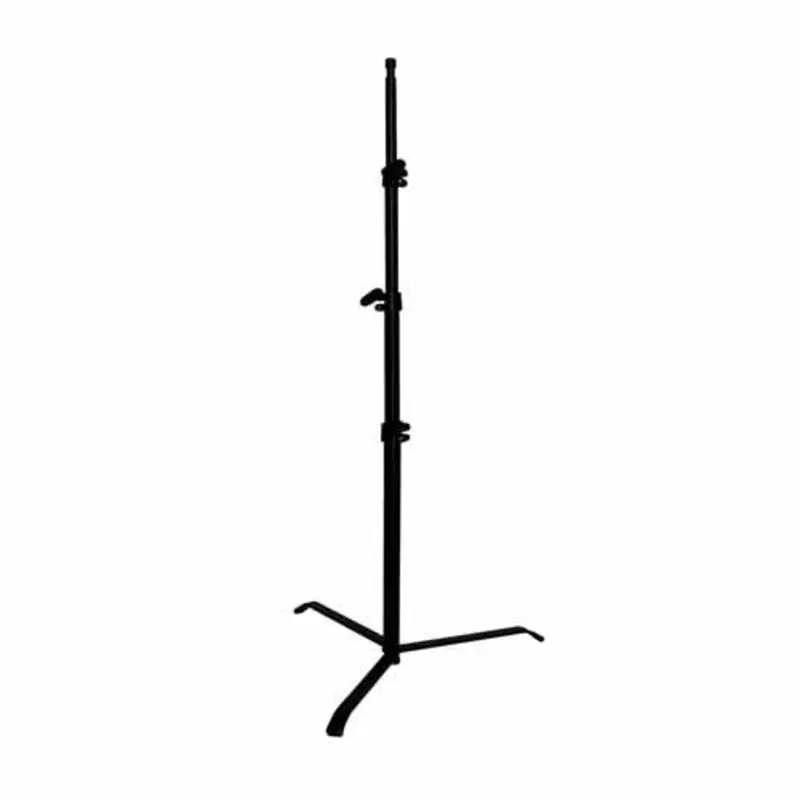 Matthews Back Light Stand, Black - 19-52"