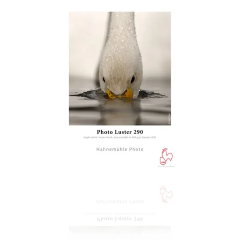 Hahnemhle Photo Luster 290 11" x 17" 25-Sheets Paper