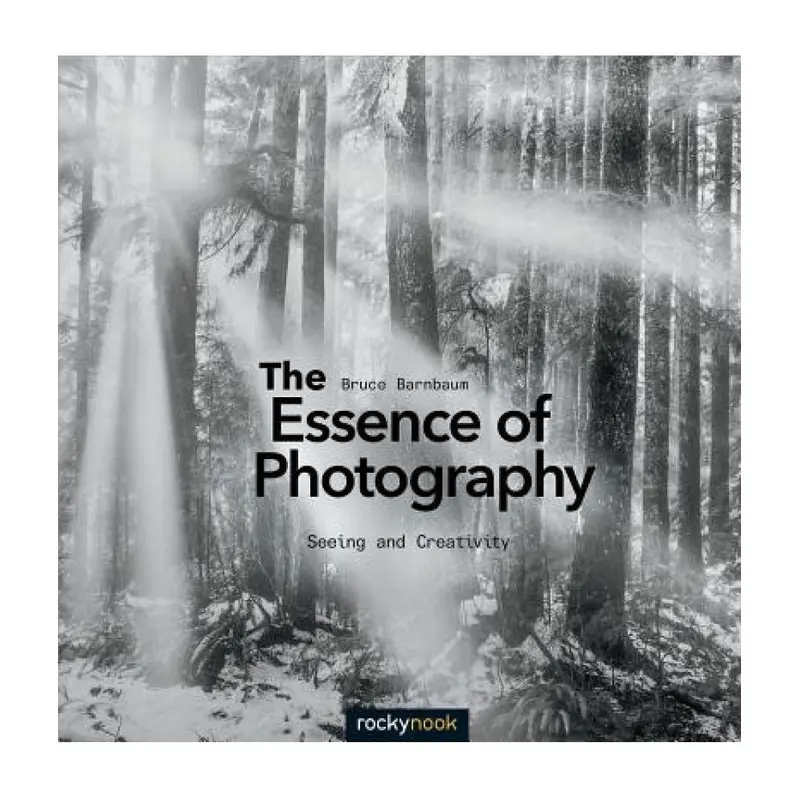 The Essence of Photography, 2nd Edition: Seeing and Creativity