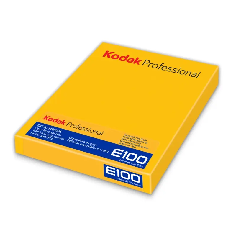 Kodak Professional Ektachrome E100 Color Transparency - 4x5" Film, 10 Sheets