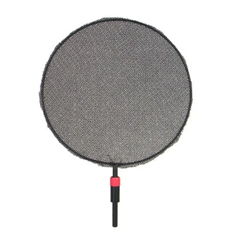 Matthews Dot 3" - Solid