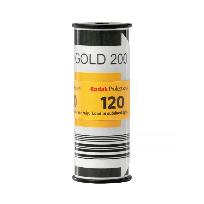 Kodak Professional Gold 200 Color Negative - 120 Film, Single Roll