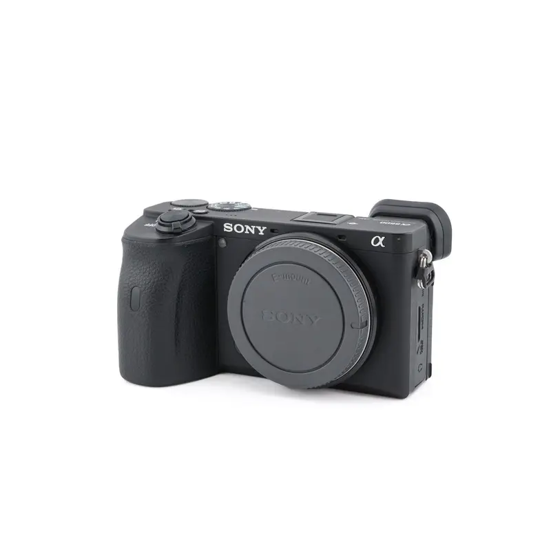 Sony A6600