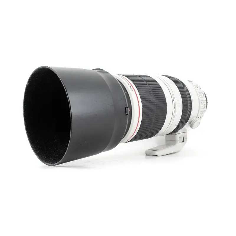 Canon EF 100-400mm f/4.5-5.6 L IS II USM