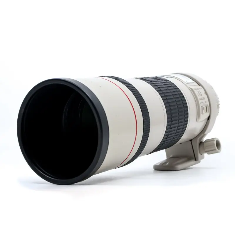 Canon EF 300mm f/4 L IS USM