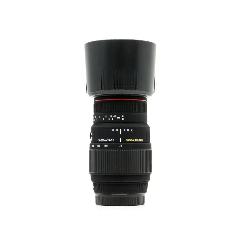 Sigma 70-300mm f/4-5.6 APO DG Macro - Sony A Fit