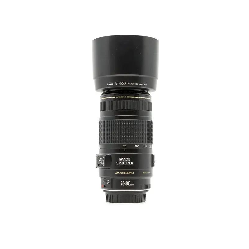 Canon EF 70-300mm f/4-5.6 IS USM
