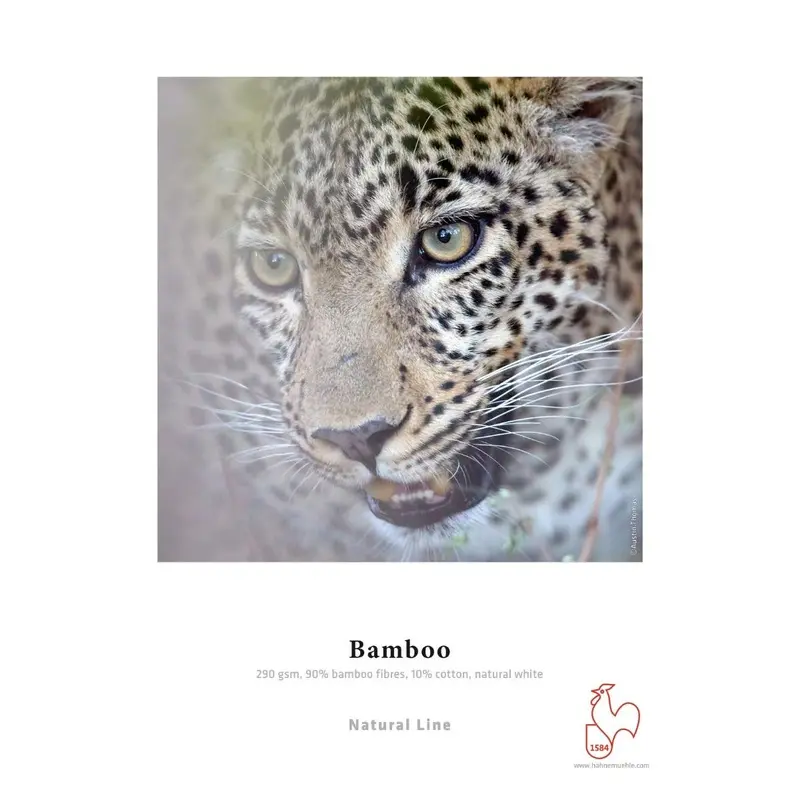 Hahnemuhle A3 Bamboo 290 20 sheet