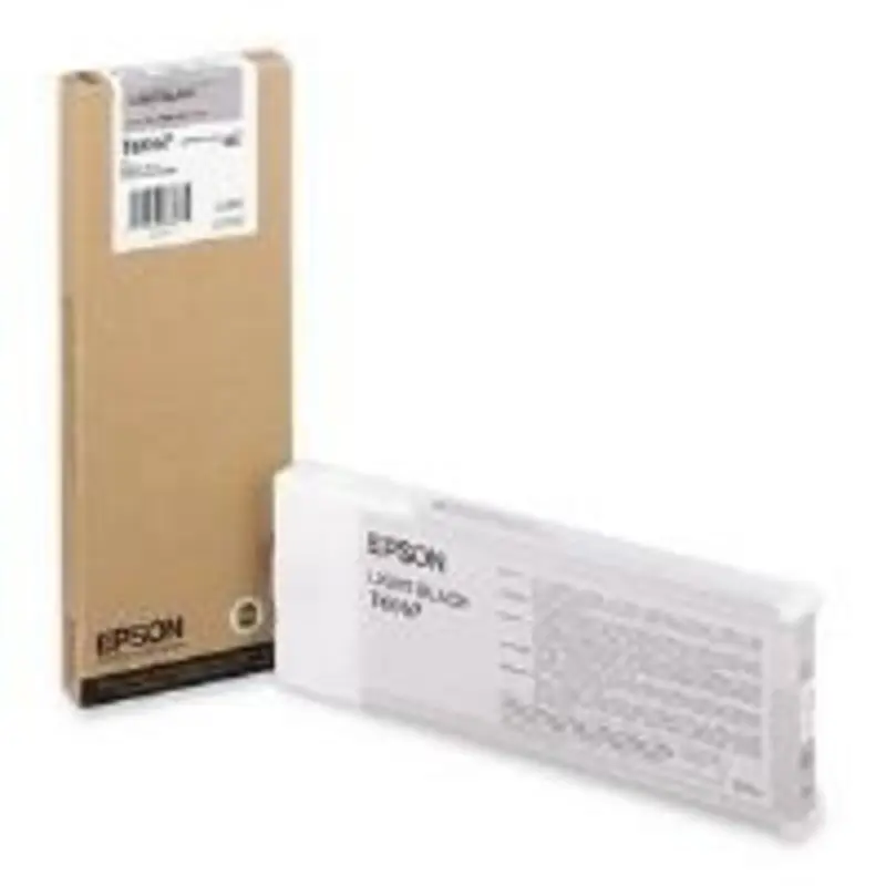 Epson T6067 UltraChrome K3 Light Black Ink Cartridge (220 ml)