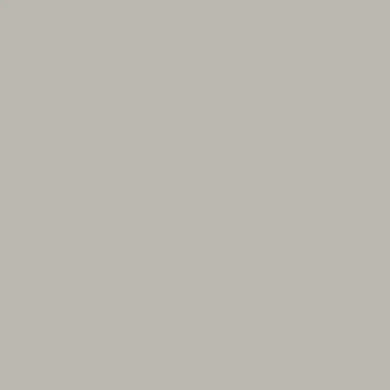 Superior Seamless Background Paper 23 Dull Allum 2.75mt x 11mt