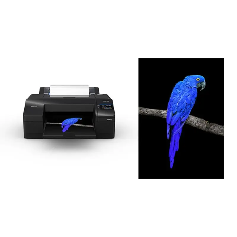 EPSON SureColour P5360 Printer with 1 Year Warranty